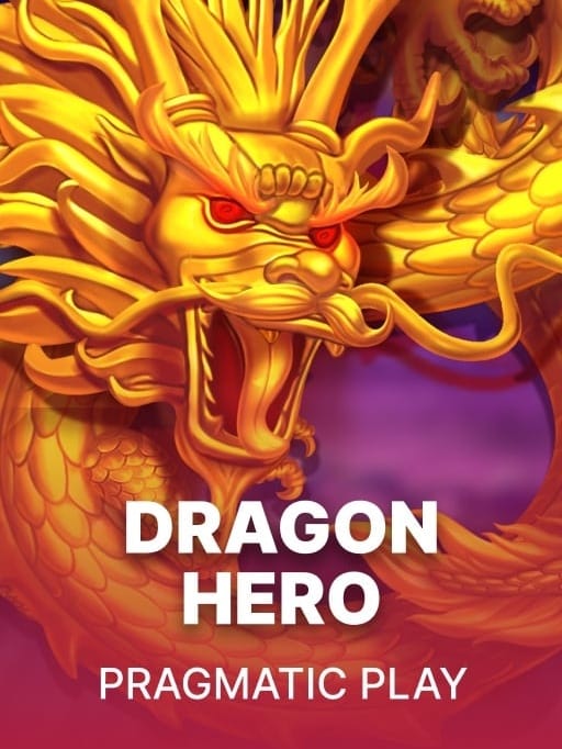 Dragon Hero artwork